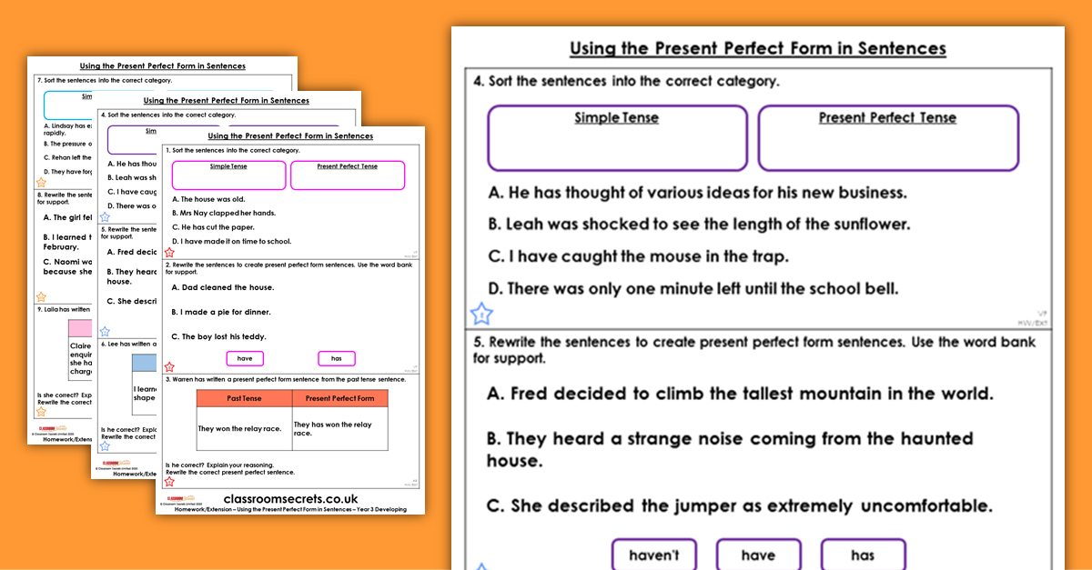 Year 3 Using the Present Perfect Form in Sentences Homework
