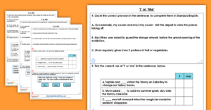 Year 4 ‘I’ or ‘Me’ Homework Extension Standard English