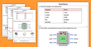 Year 1 Plural Nouns Homework Extension Singular and Plural