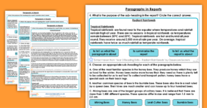 Year 3 Paragraphs in Reports Homework Extension Paragraphs