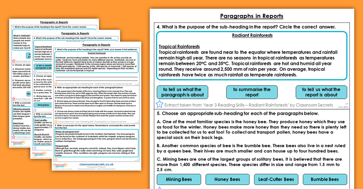 Year 3 Paragraphs in Reports Homework