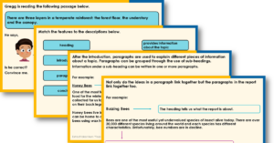 Year 3 Paragraphs in Reports Teaching PowerPoint