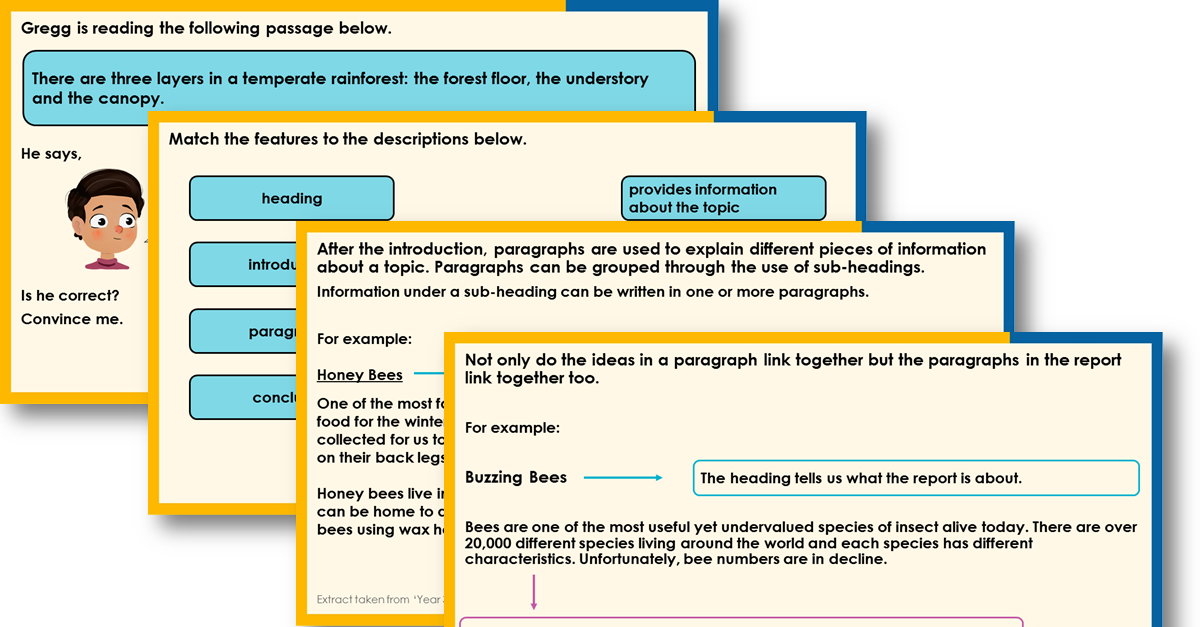Year 3 Paragraphs in Reports Teaching PowerPoint
