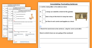 Year 2 Consolidating Punctuating Sentences Homework Extension Consolidation