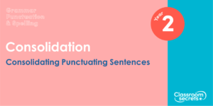 Year 2 Consolidating Punctuating Sentences Lesson