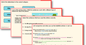 Free Year 4 Consolidating Determiners Teaching PowerPoint