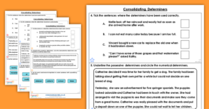 Free Year 4Consolidating Determiners Homework Extension Paragraphs
