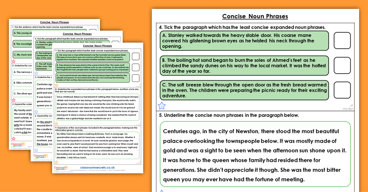 year-5-concise-noun-phrases-homework-extension-cohesion-classroom