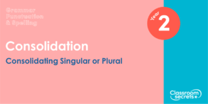 Year 2 Consolidating Singular or Plural Lesson