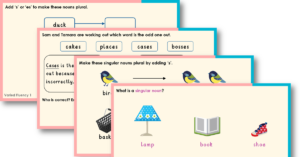 Year 2 Consolidating Singular or Plural Teaching PowerPoint