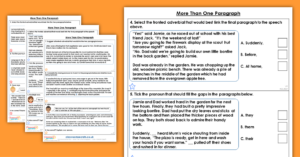 Year 4 More Than One Paragraph Homework Extension Paragraphs