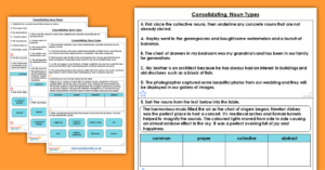 Year 4 Consolidating Noun Types Homework Extension Consolidation