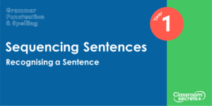 Free Year 1 Recognising a Sentence Lesson