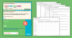 Year 5 Spelling Assessment Resources - S38