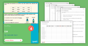 Year 4 Spelling Assessment Resources - S34 – Recap - ment suffix
