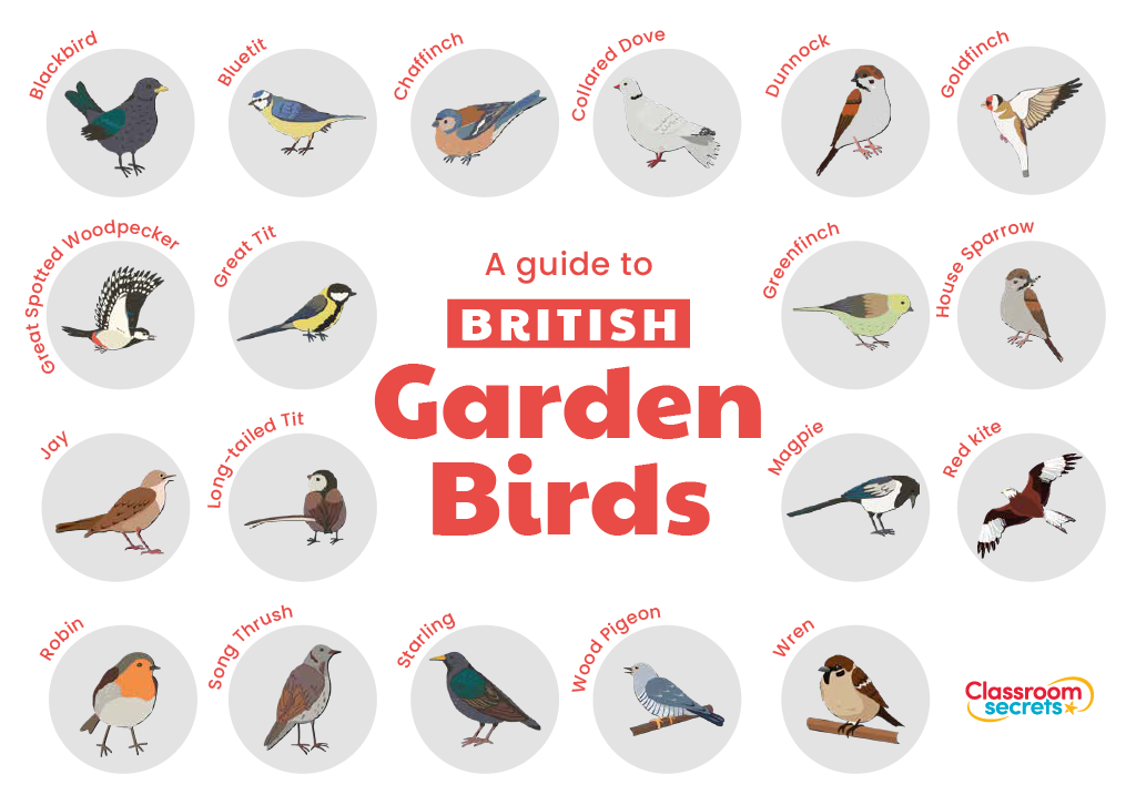Key Stage 2 Garden Birds Resource Pack