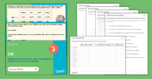 Year 3 Spelling Assessment Resources - S38