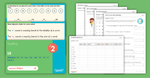 Year 2 Spelling Resources - S8 Pack 2