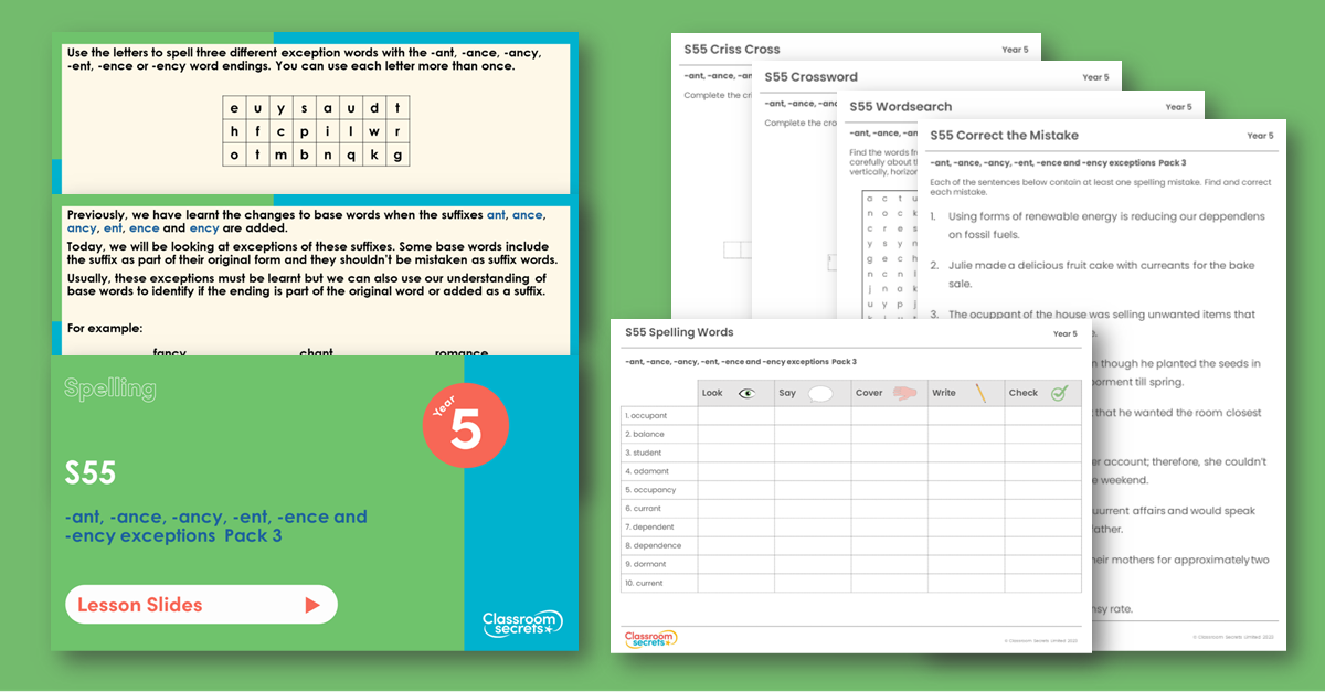 Year 5 Spelling Resource Pack - S55 -ant -ance -ancy -ent -ence -ency exceptions  Pack 3