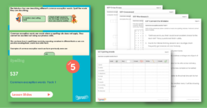 Year 5 Spelling Resources - S37 – Common Exception Words Pack 1