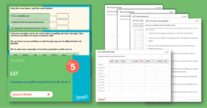 Year 5 Spelling Resources - S37 – Common Exception Words (Year 3/4) Pack 2