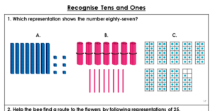 Recognise Tens and Ones - Extension