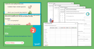 Year 2 Spelling Resources - S36 – Homophones and near homophones Pack 1