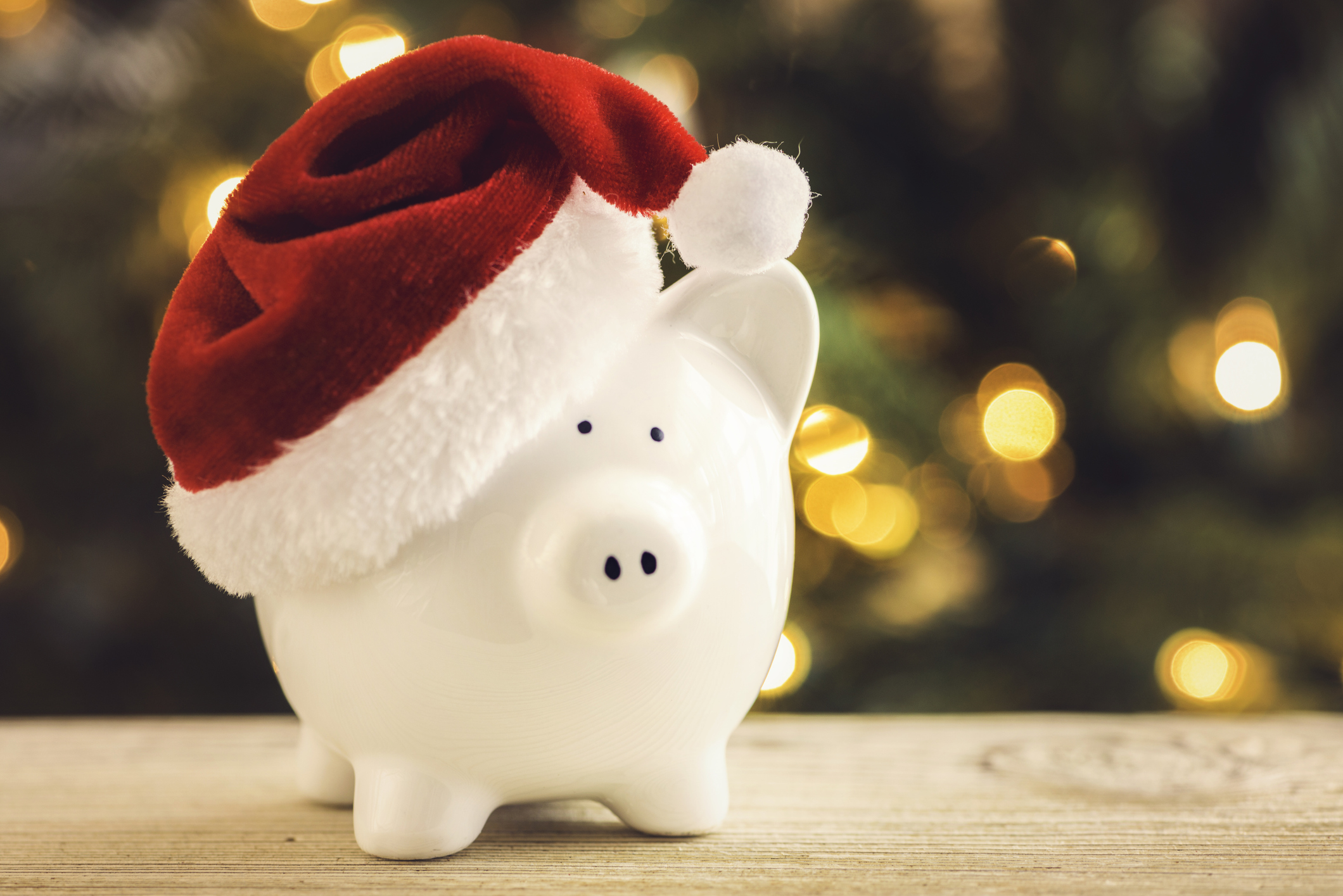Festive Fun Without Financial Fret: Embracing a Budget-Friendly Holiday Season
