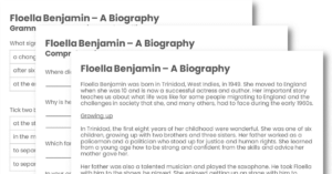 Floella Benjamin (Y3m/Y4d/Y5e) Guided Reading Pack